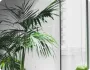 PG模拟器：探索PG电子游戏世界 - pg模拟器